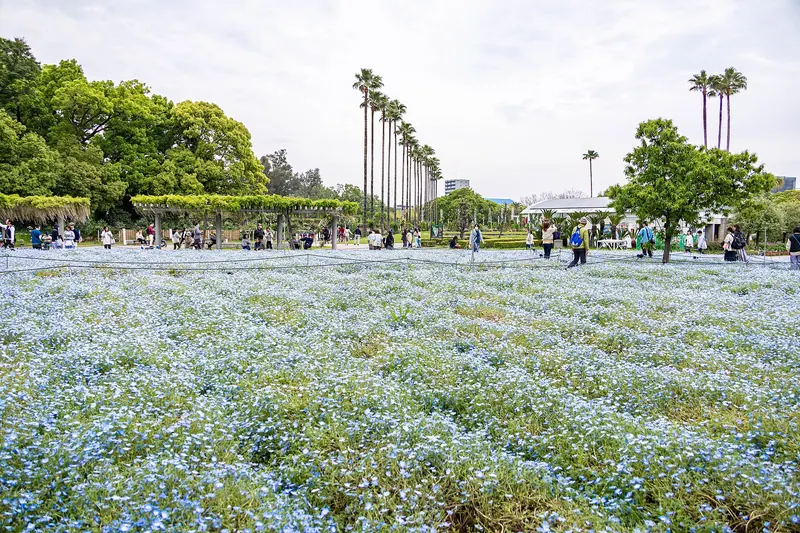 Nagai Botanical Garden