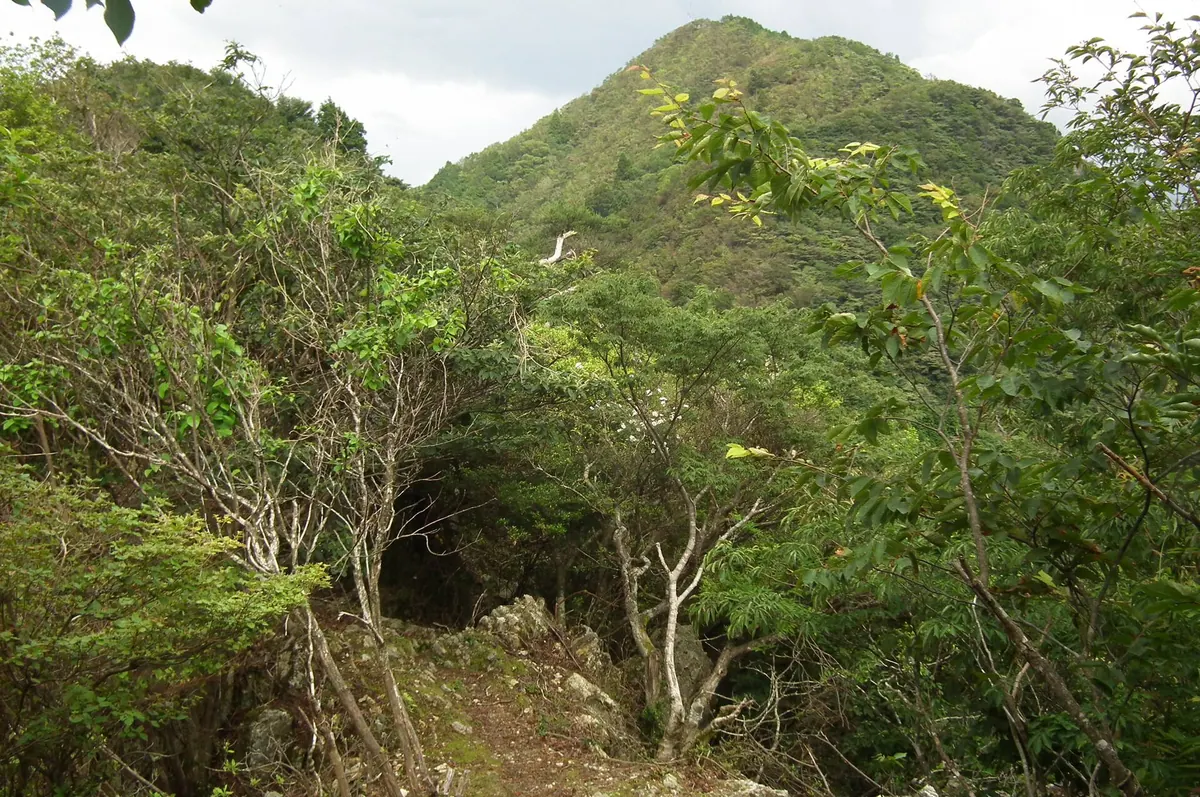 Mount Mitake