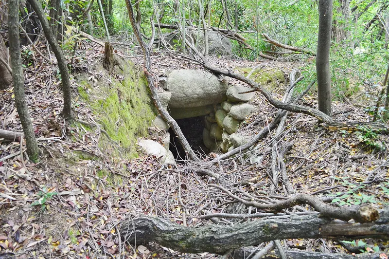 Seishōzuka Kofun