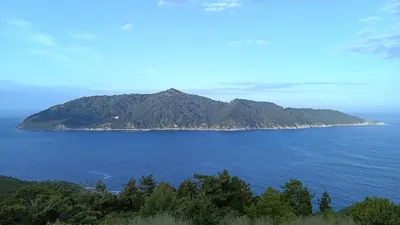 Kinkasan