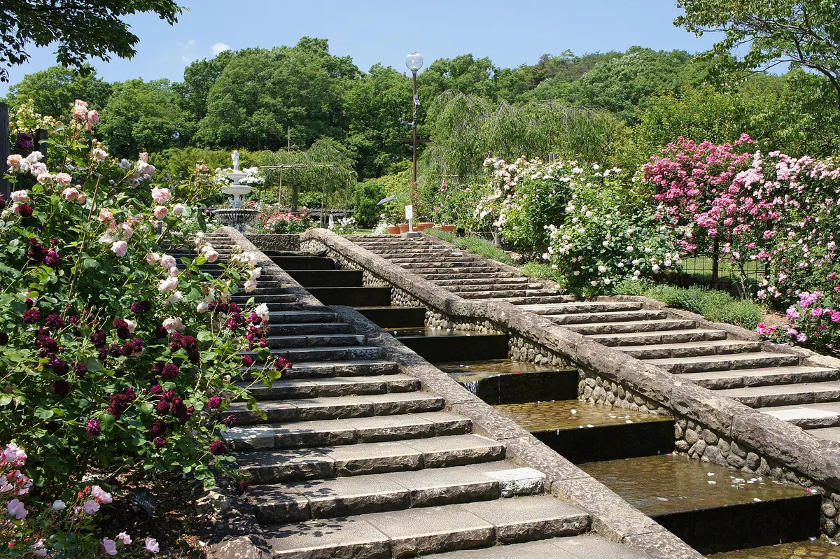 Kitayama Botanical Garden