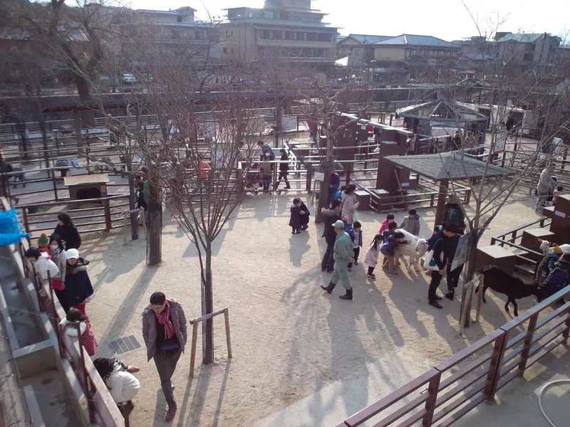 Kyoto City Zoo