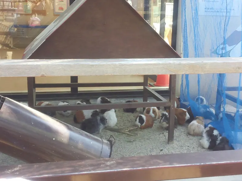Kyoto City Zoo