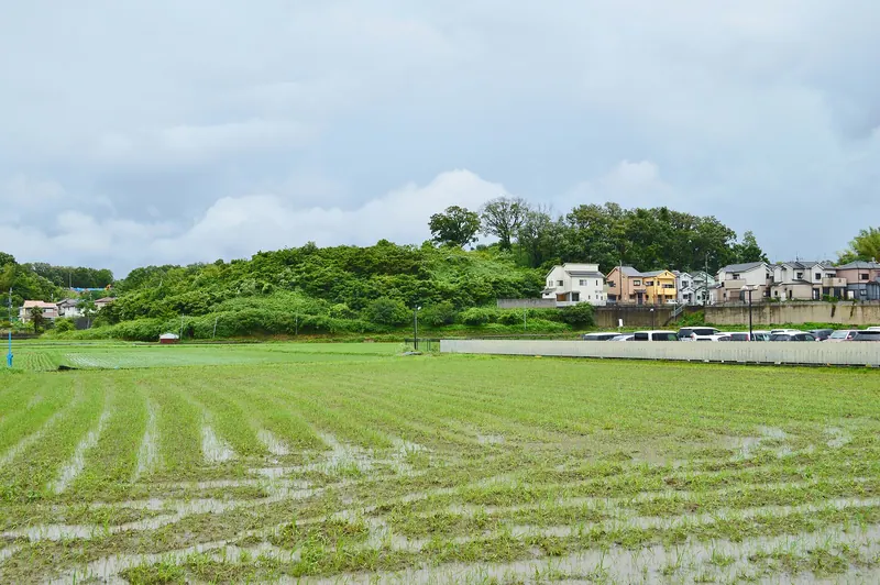 Kanmaki Kudo Kofun Cluster