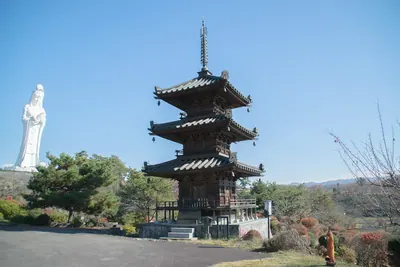 Houkokuji Aizubetsuin（Aizu-mura）