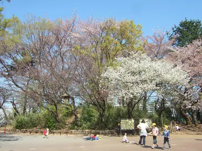 Kasedai Kofun Cluster