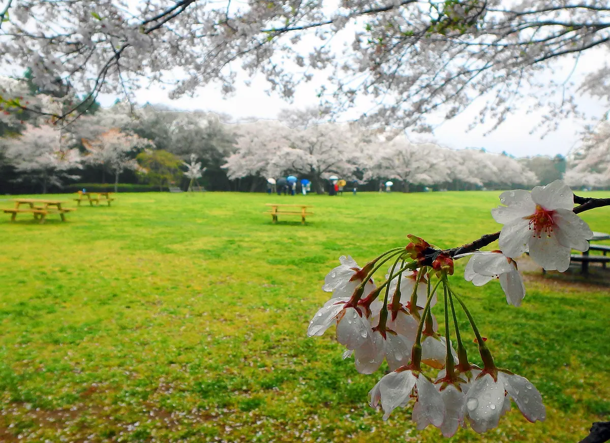 Izumi Nature Park