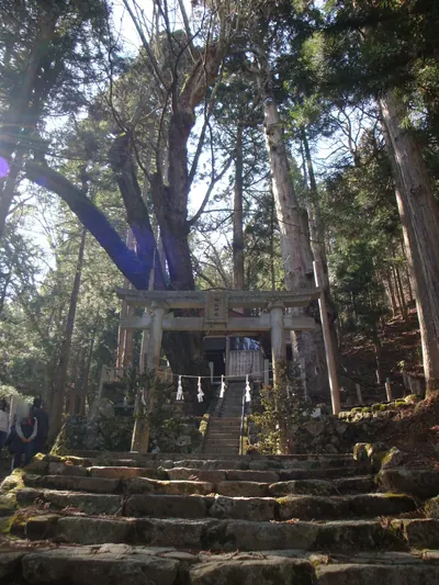 Misaka Shrine
