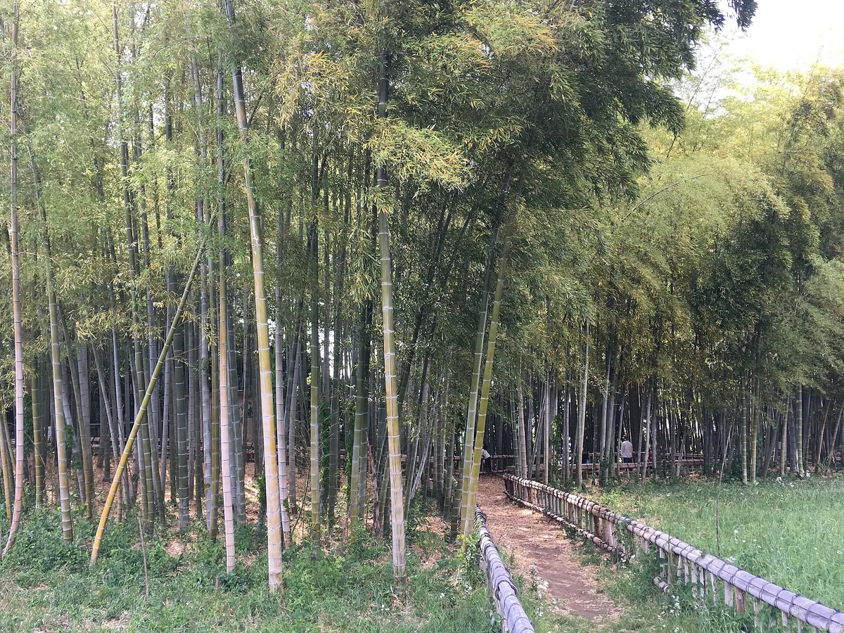 Higashikurumeshi Chikurin Park
