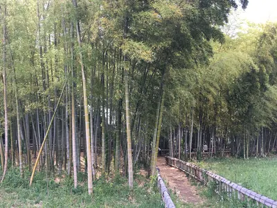 Higashikurumeshi Chikurin Park