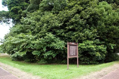 Araku Kofun