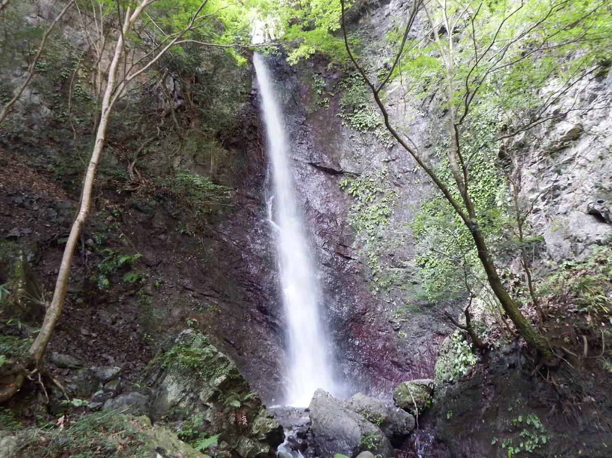 Kongo Falls (Tokushima)