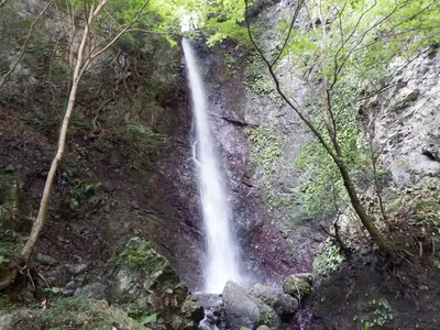 Kongo Falls (Tokushima)