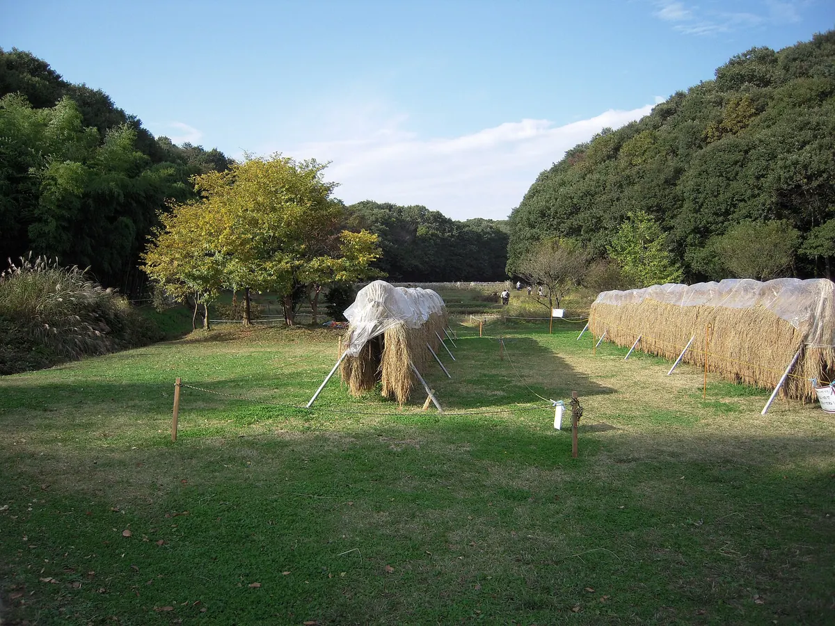 Noyamakita-Rokudōyama Park