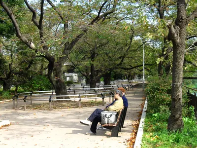 Chidorigafuchi Park