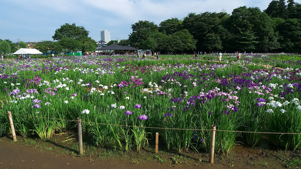 Kitayama Park
