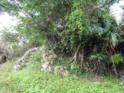 Miyakojima City Tropical Plant Garden