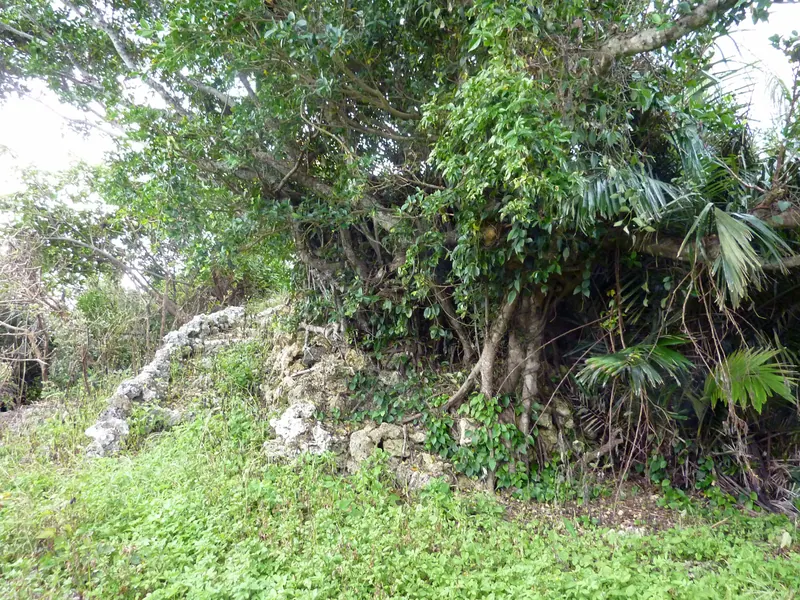 Miyakojima City Tropical Plant Garden