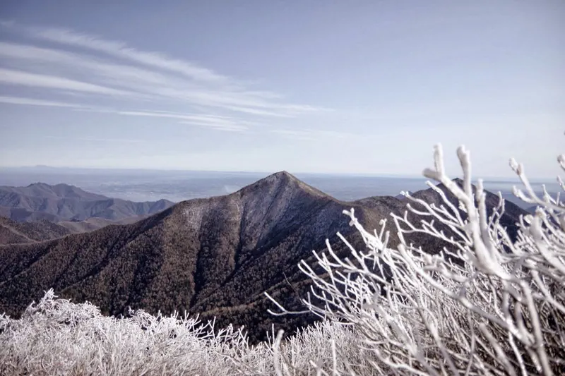 Mount Fushimi