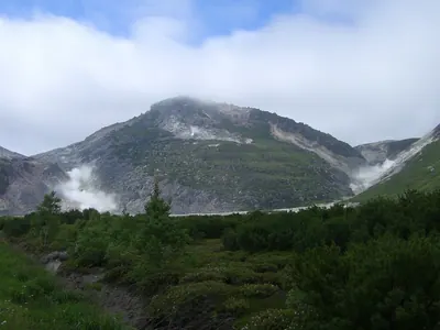 Atosa Nupuri