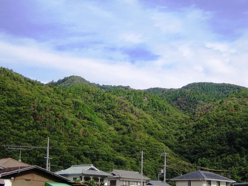 Mount Tanjō