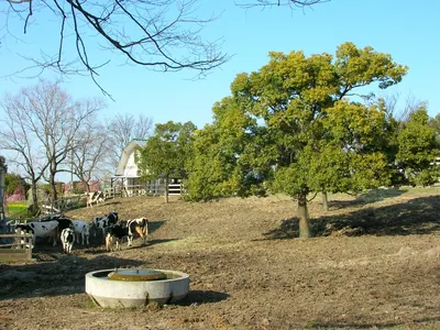 Nagoya Agricultural Center