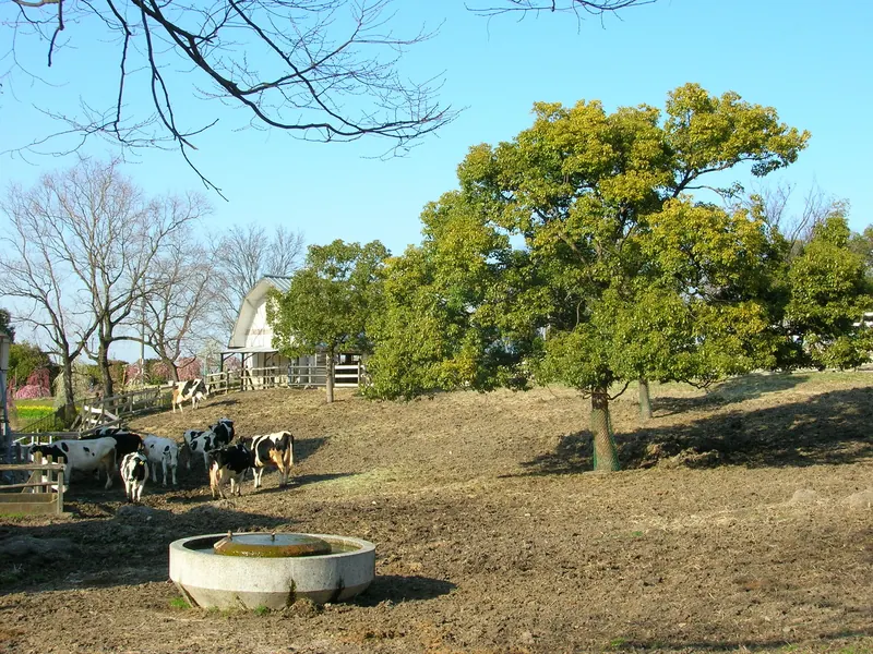 Nagoya Agricultural Center
