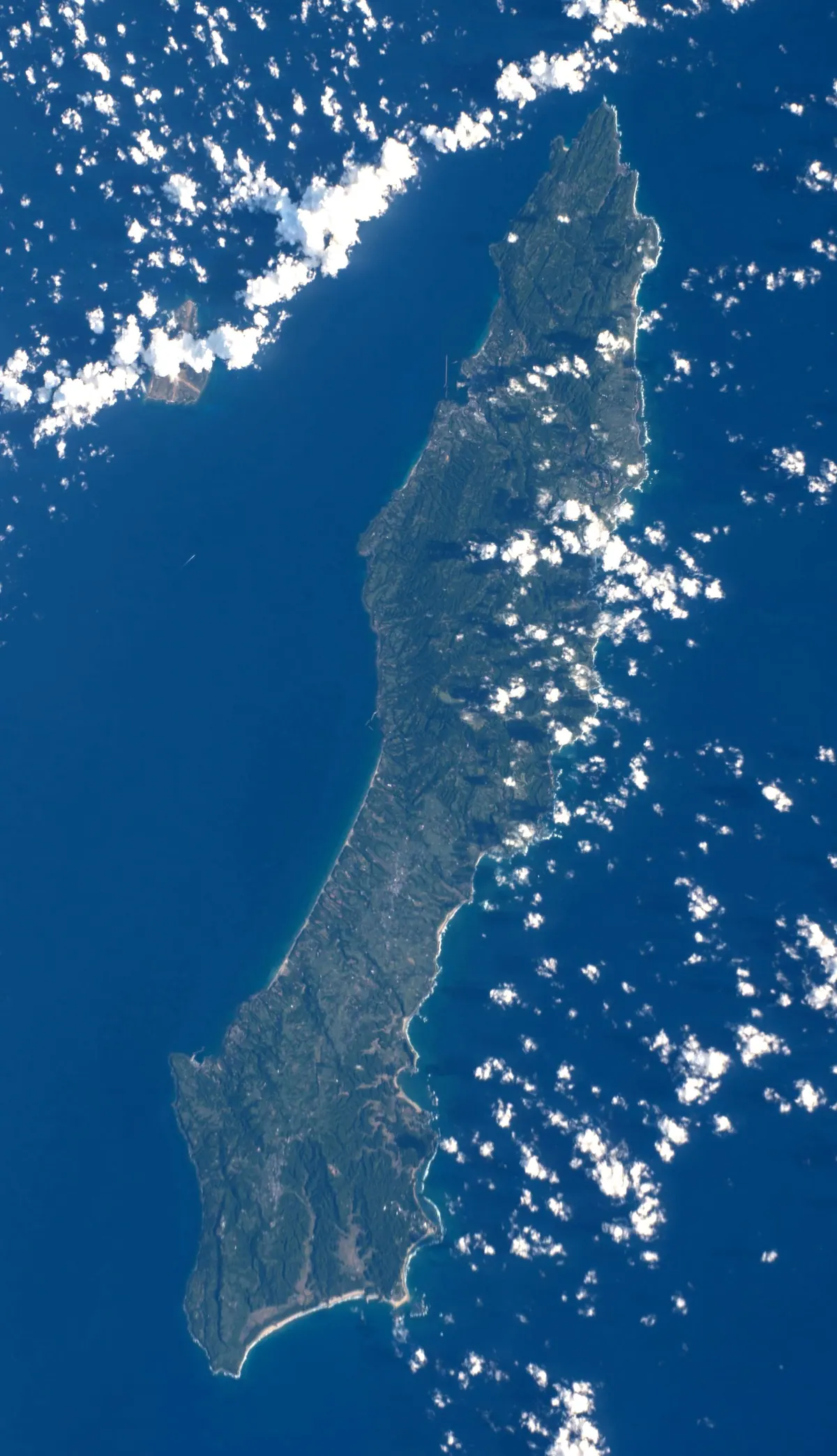 Tanegashima