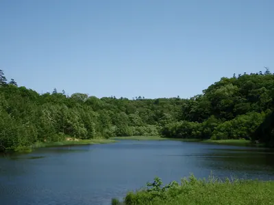 Nopporo Shinrin Kouen Prefectural Natural Park