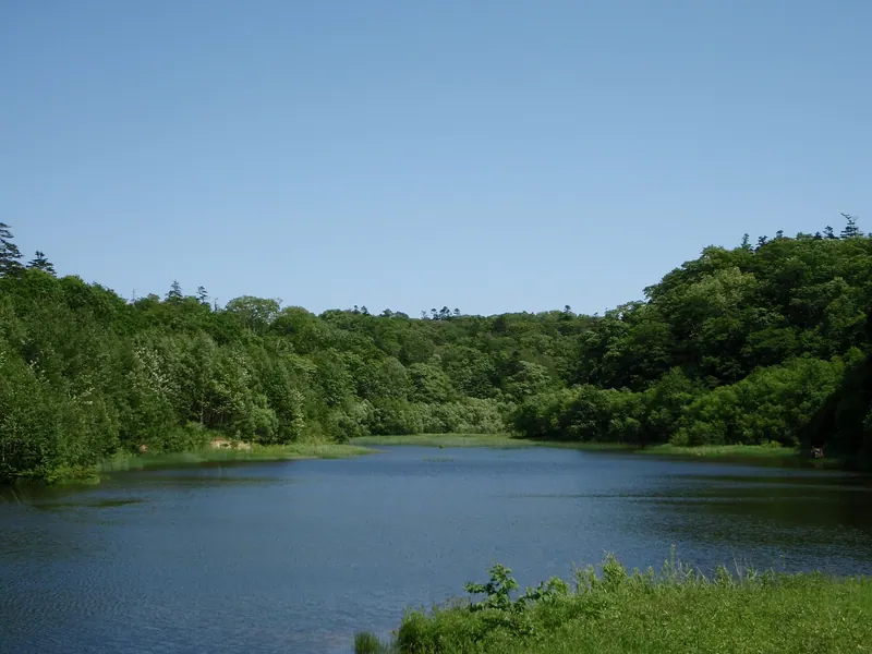 Nopporo Shinrin Kouen Prefectural Natural Park