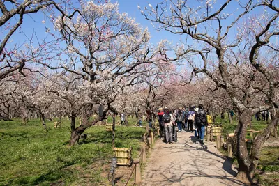 Kairaku-en