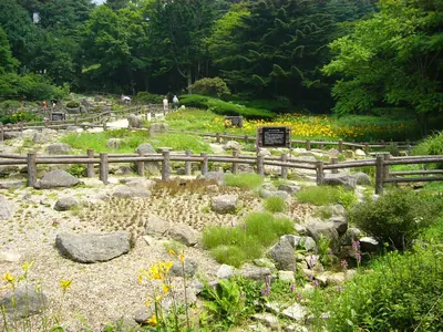 Rokko Alpine Botanical Garden