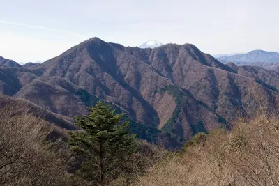 Mount Hinokiboramaru
