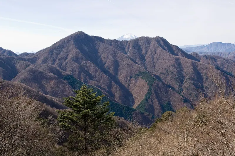 Mount Hinokiboramaru
