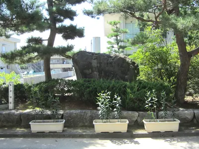 Uozu Castle