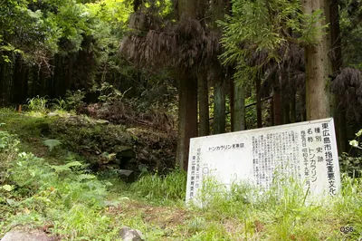 Tonkararin Tunnel Structure