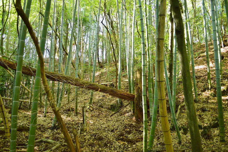 Isonokami Ōtsuka Kofun