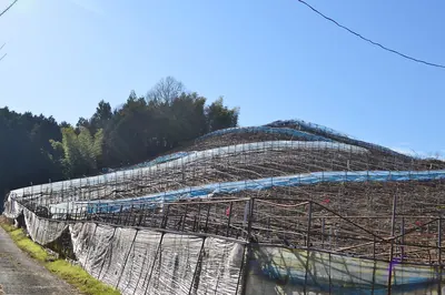 Uwanarizuka Kofun
