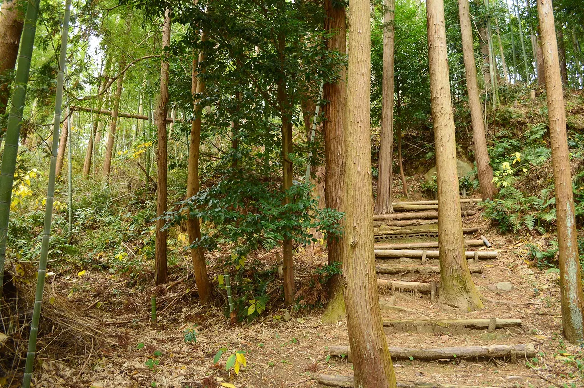 Higashinorikura Kofun