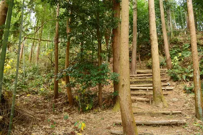 Higashinorikura Kofun