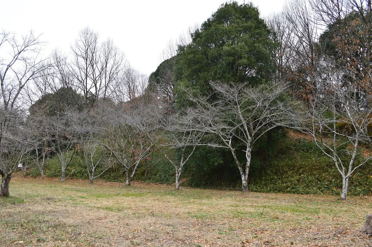 Nishinorikura Kofun