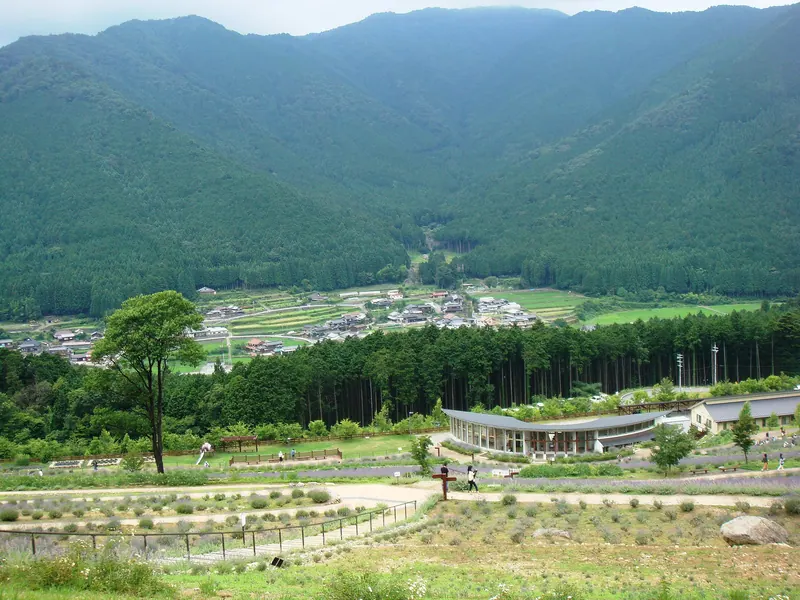 Lavender Park Taka