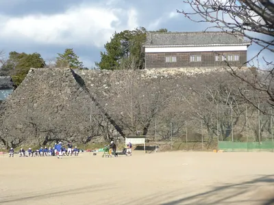 Kameyama Castle