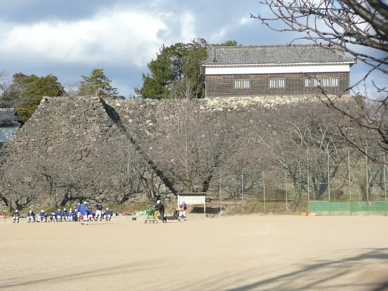 Kameyama Castle