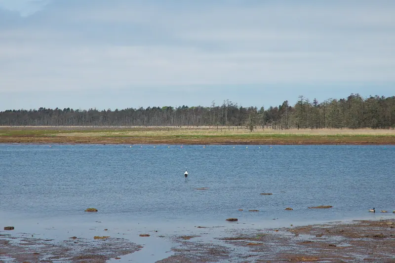 Lake Furen