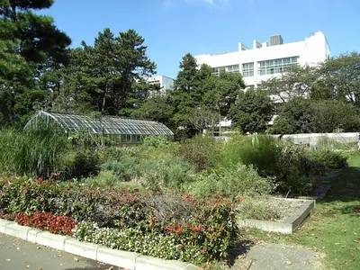 Toho University Faculty of Pharmaceutical Sciences Medicinal Botanical Garden