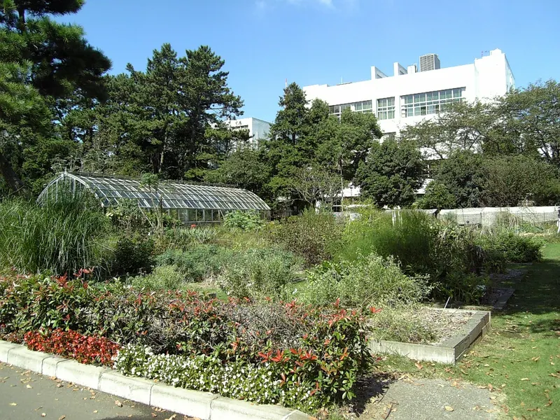 Toho University Faculty of Pharmaceutical Sciences Medicinal Botanical Garden