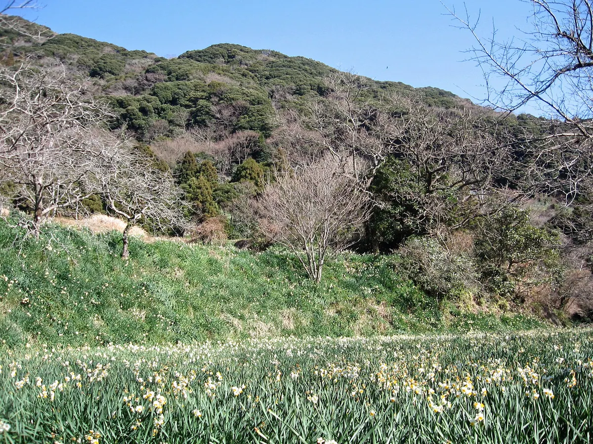 Mount Saga