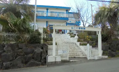 The Cat Museum