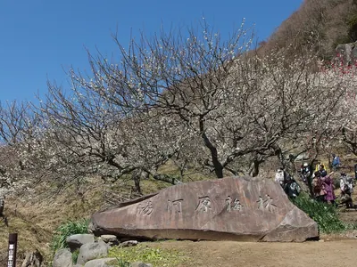 Makuyama Park